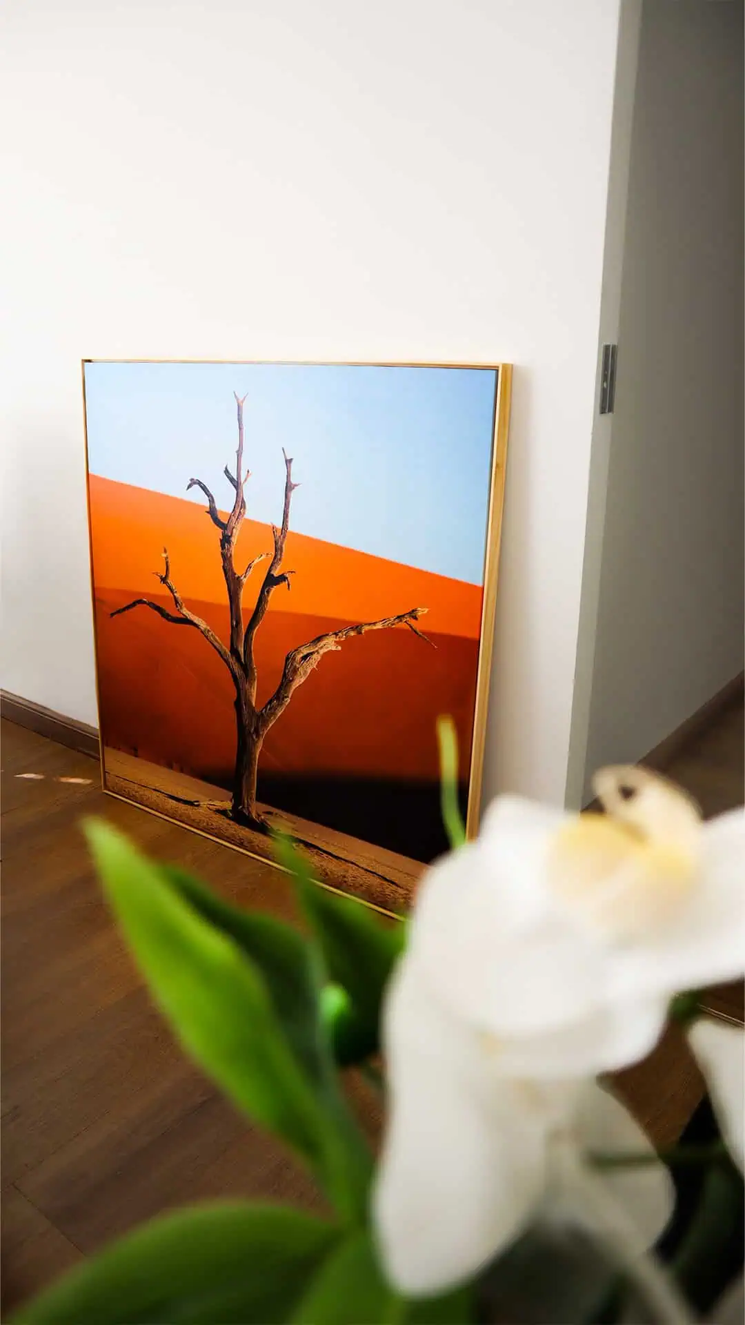 Árvores secas em arte de fotografia de natureza desertica.