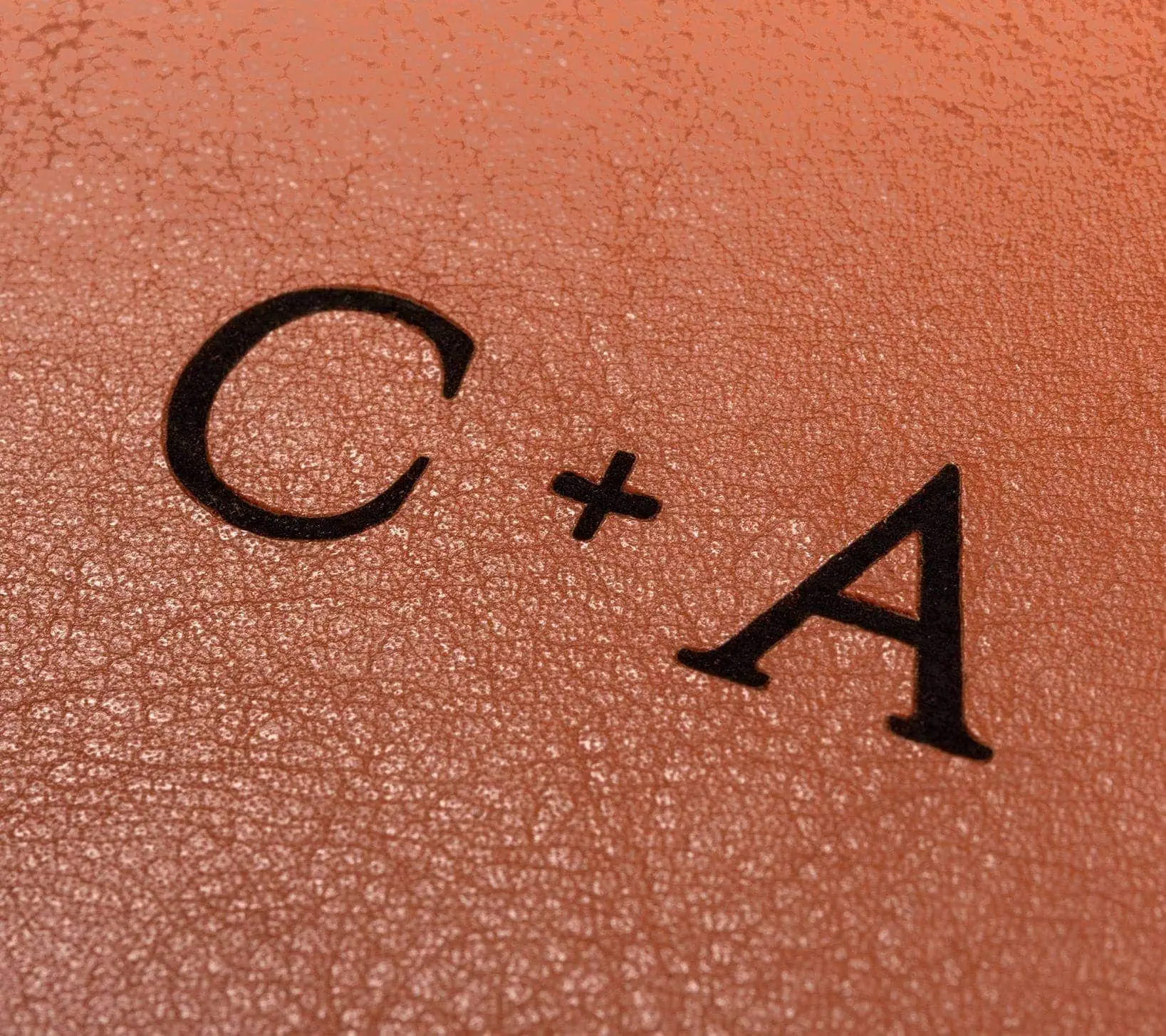 C + A, fotografia macro de superfície de pele com textura detalhada.