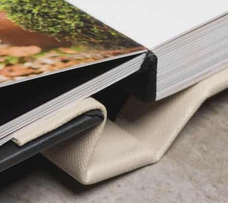 Árvore com folhas verdes e trilha de terra, fotografia de natureza ao ar livre.