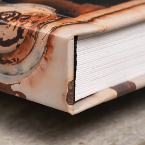 Capa de livro com arte de urso em foto artística, destaque em fotografia e design de fotoclube.