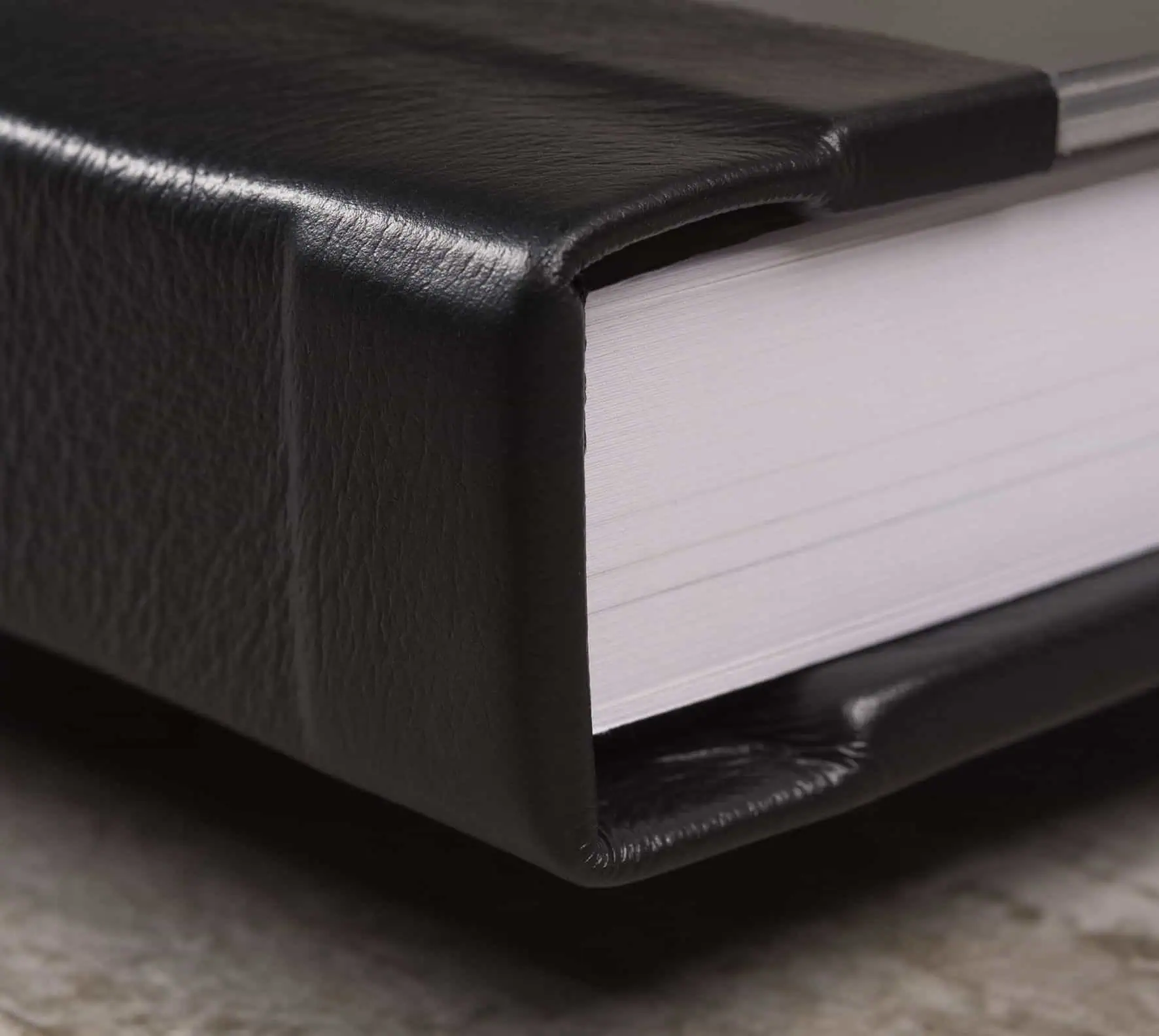Caderno de fotos profissional com acabamento em couro preto.