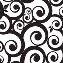 Traços artísticos preto e branco com padrão de arabesco, ideal para fotografia criativa e design gráfico.