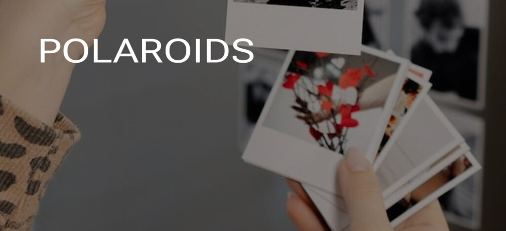 Polaroids vintage com fotos de flores e natureza, foco em fotografia analógica e arte fotográfica.