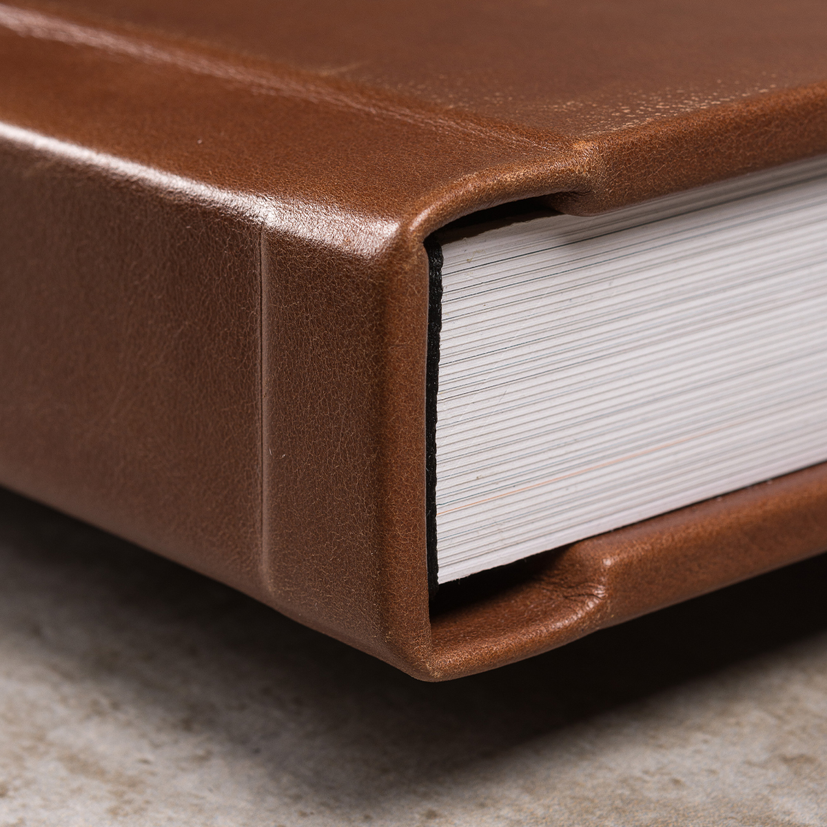 Álbum de fotos com capa de couro marrom e páginas brancas.