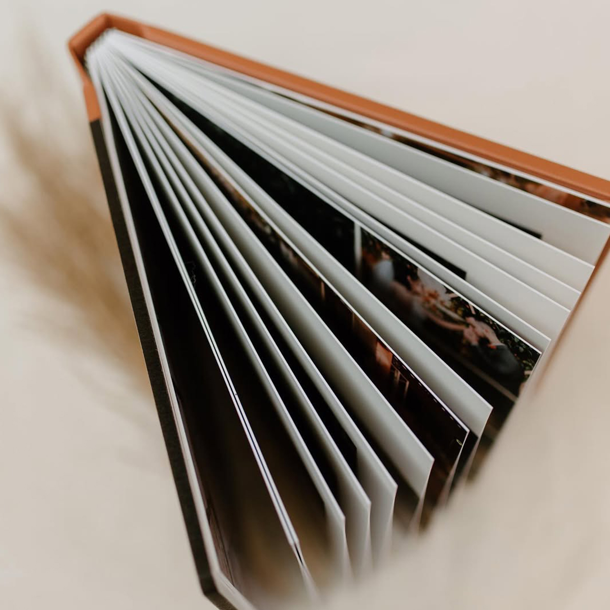Árvore de livros aberta com páginas visíveis, ideal para fotografia de leitura e cultura.