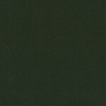 Pelisse Verde
